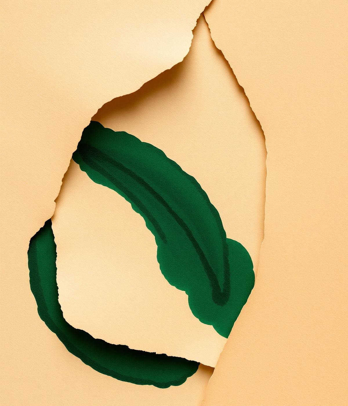 Warm beige paper with a forest green brushstroke
